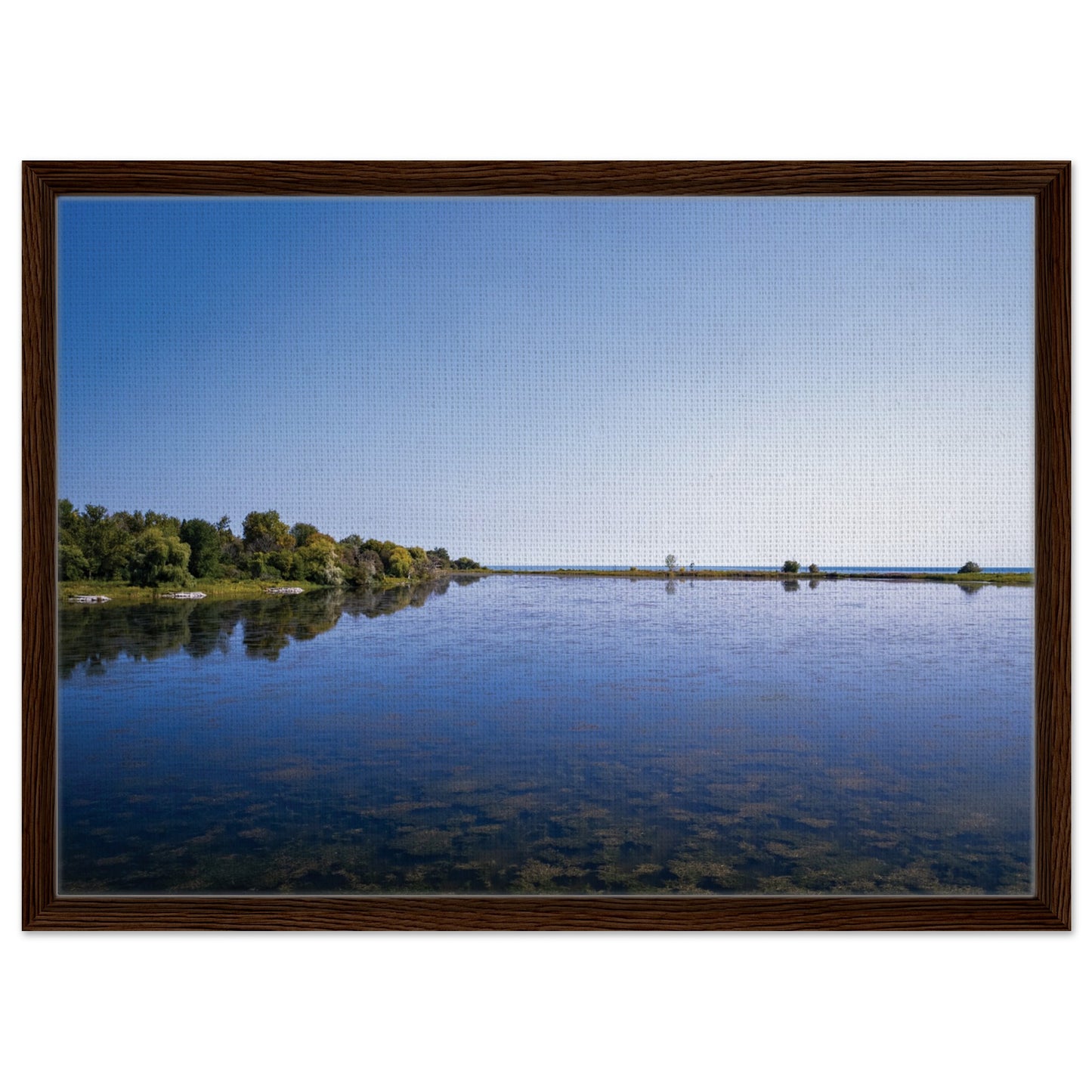 03cb3df9-b58c-4d63-b845-5385c60f785b