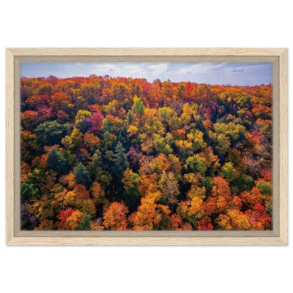 0545ce1d-ed36-4809-91dd-ddb53db4eebd