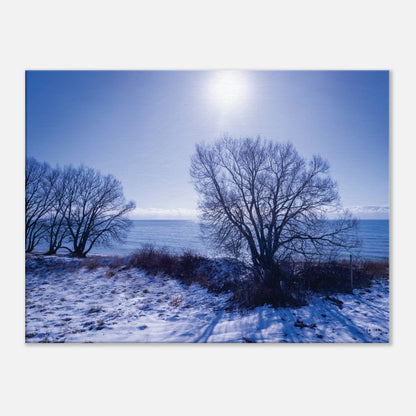 070c2a1a-f264-4bbb-8535-2657d5e7f713