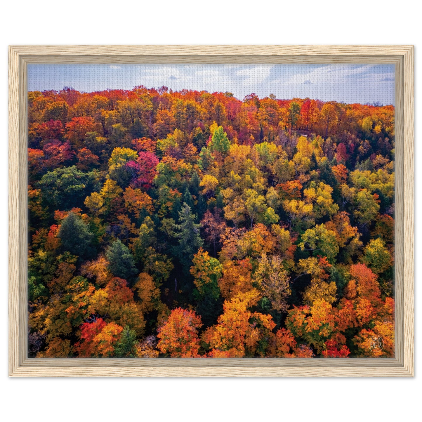 0a9afa3f-b128-4057-85f8-12b140014ed0