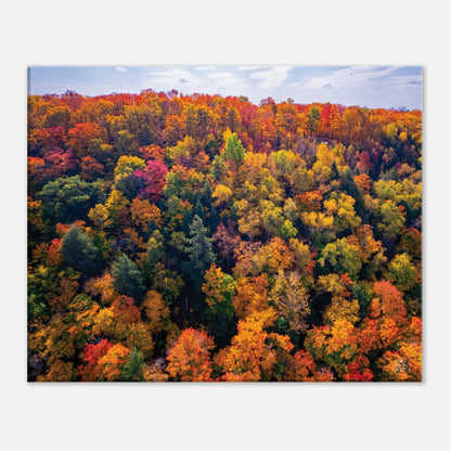 0bfa5288-65f2-43d1-932a-b8dd2a670435