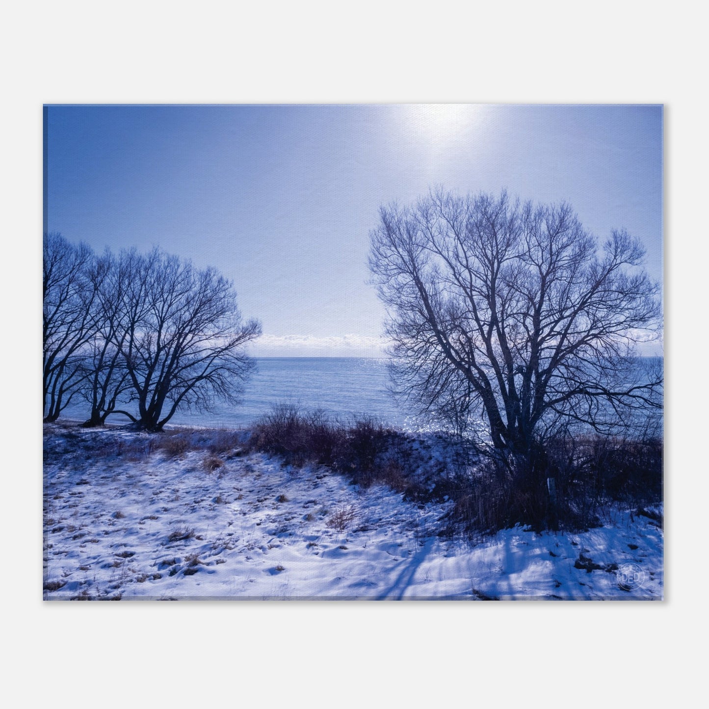 0dc8cb85-4669-4ee5-9b91-83f6446cb918