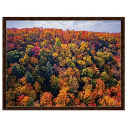 17fa3a44-9433-47bf-89fc-dd2ead33ac31