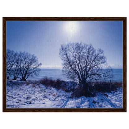 297cc60b-74b5-4521-9f85-c6d63b9a305f