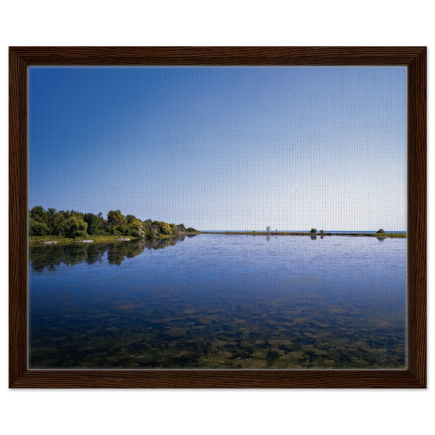 2c6e99e2-d186-45af-b78c-a58d69e94d2a