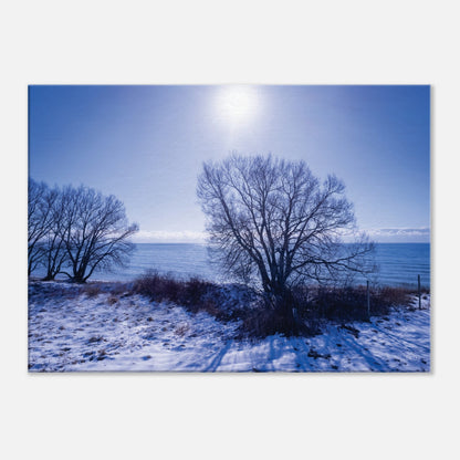 35d77bf6-ce82-4bcb-a07e-d91c7cfd1256