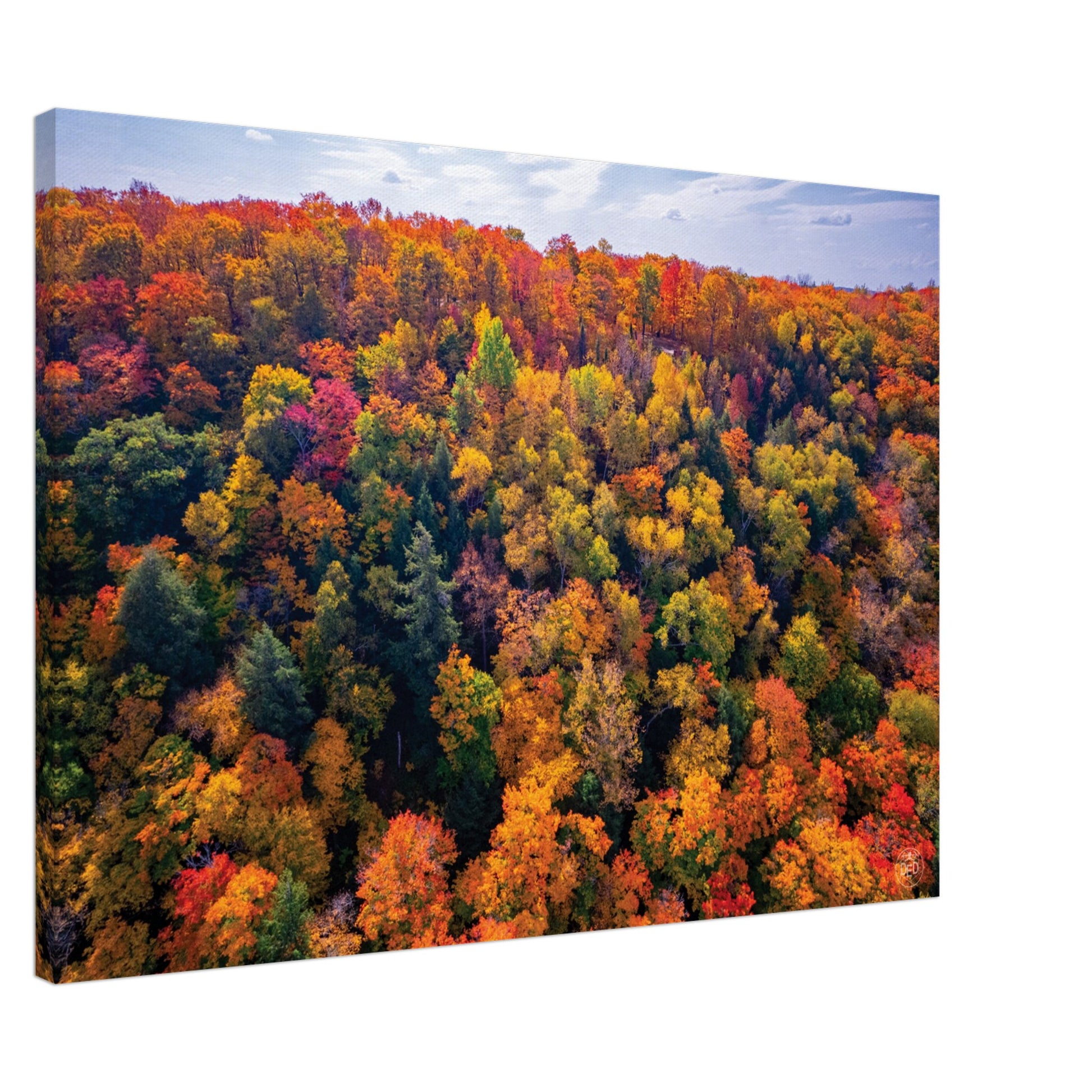 3b6a3918-55a8-4968-9d96-2b9772906889