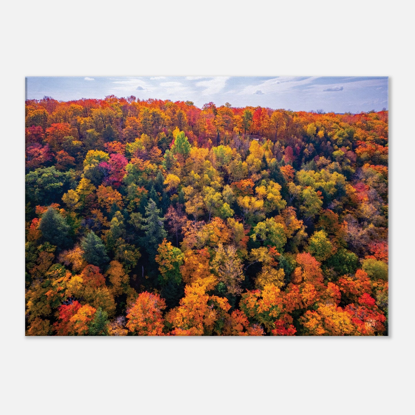 4631eff0-87ca-4e92-b96d-25fb5c7b70b6