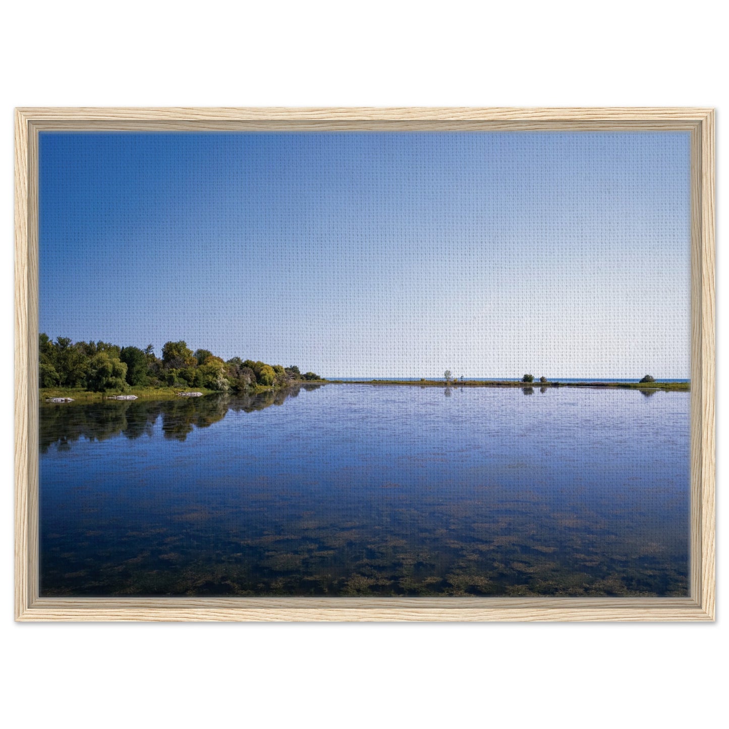 4778fb11-6f75-4b54-9163-74e3980ac3f2