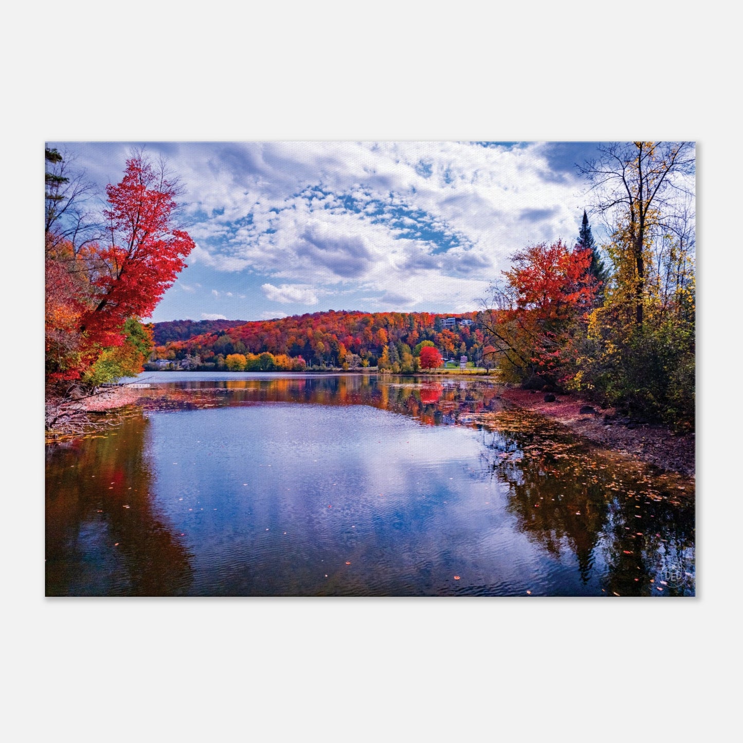48b85272-c3f4-4ef0-92f9-301be8f39d00