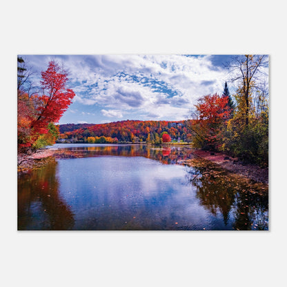 48b85272-c3f4-4ef0-92f9-301be8f39d00