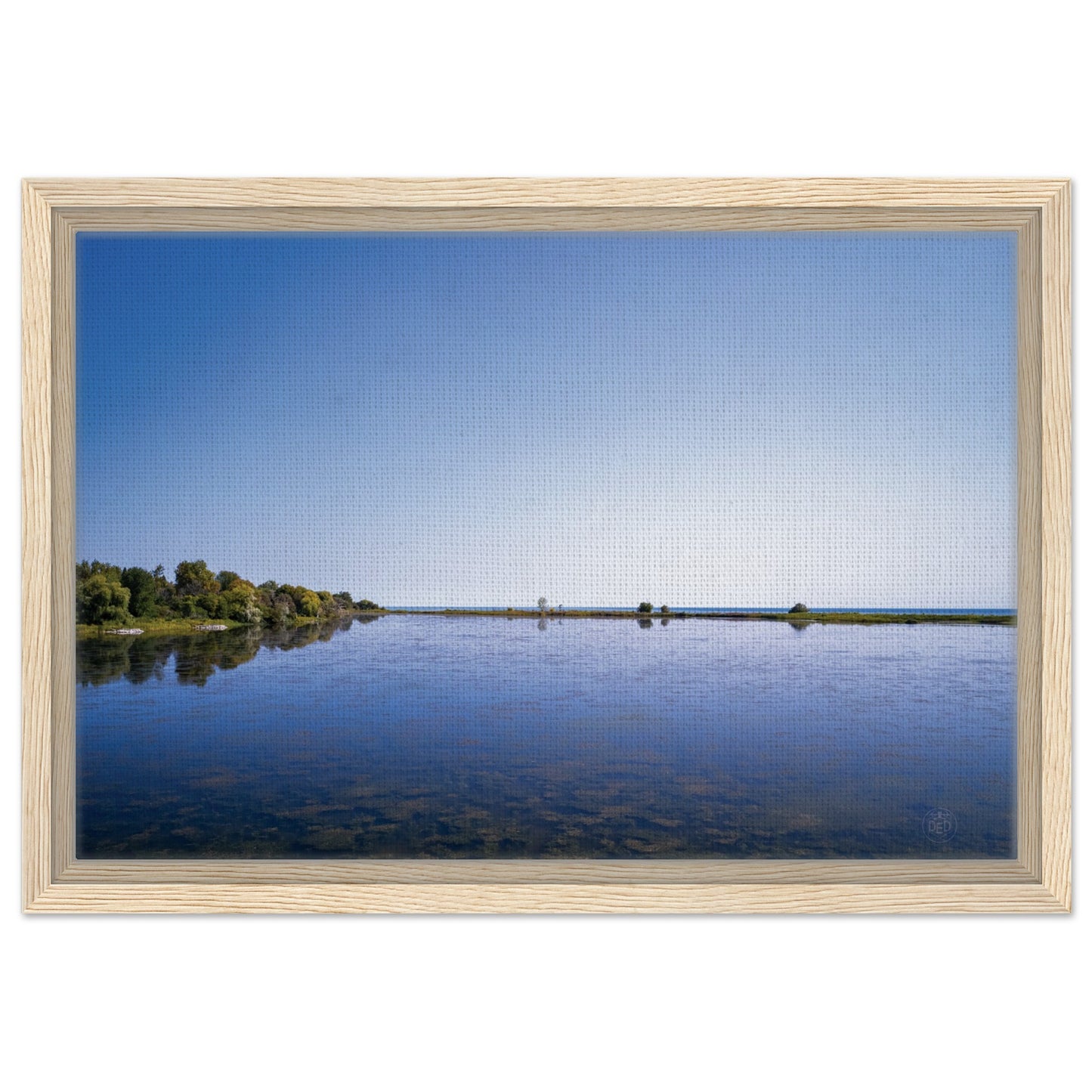 549787da-60aa-42bf-a14b-c55cf3302489