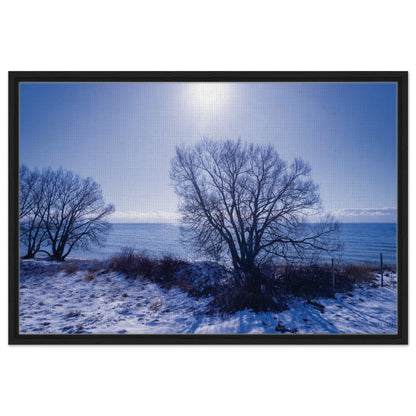 6547428b-056b-4bc3-a840-01238220f1d9