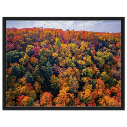 6a26de14-569d-490e-b6a1-0827ec05c13d