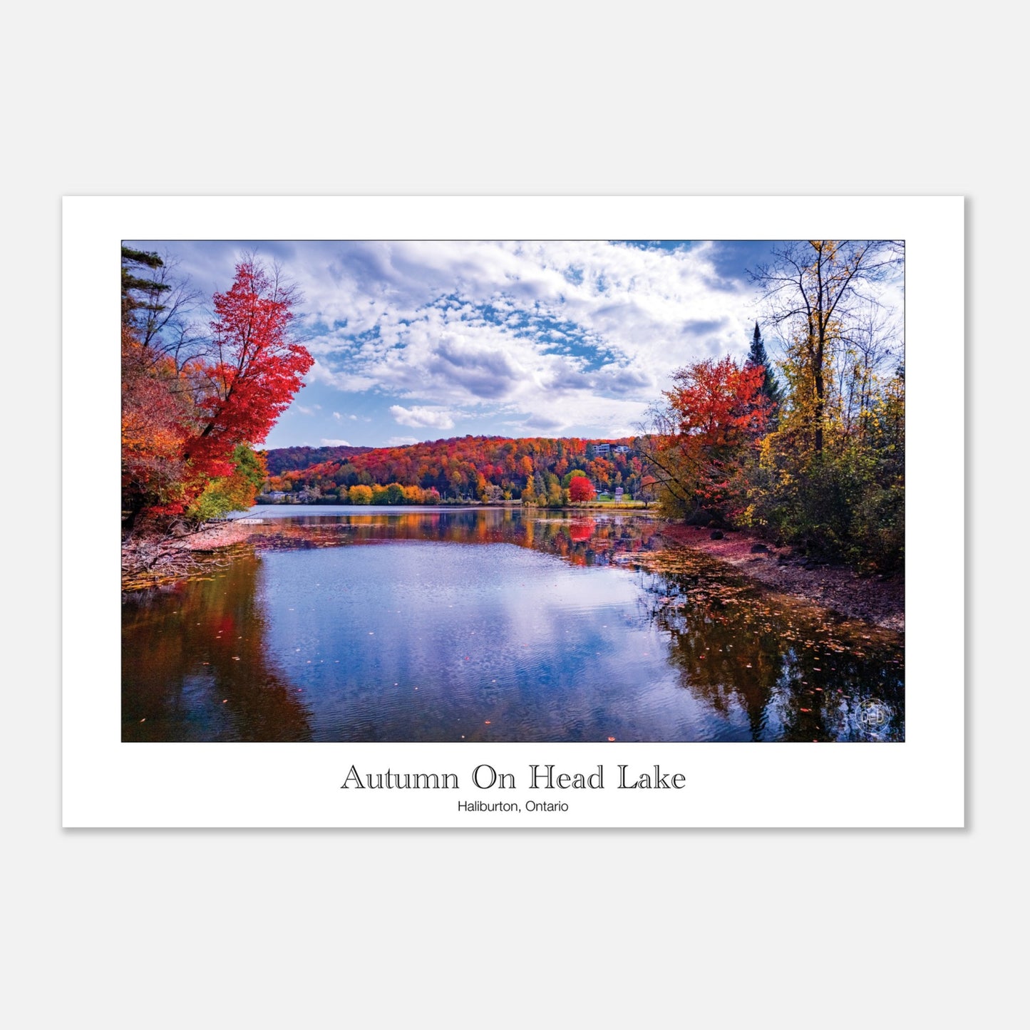 6e79eadf-ab47-4b66-b34f-08d66631fc08