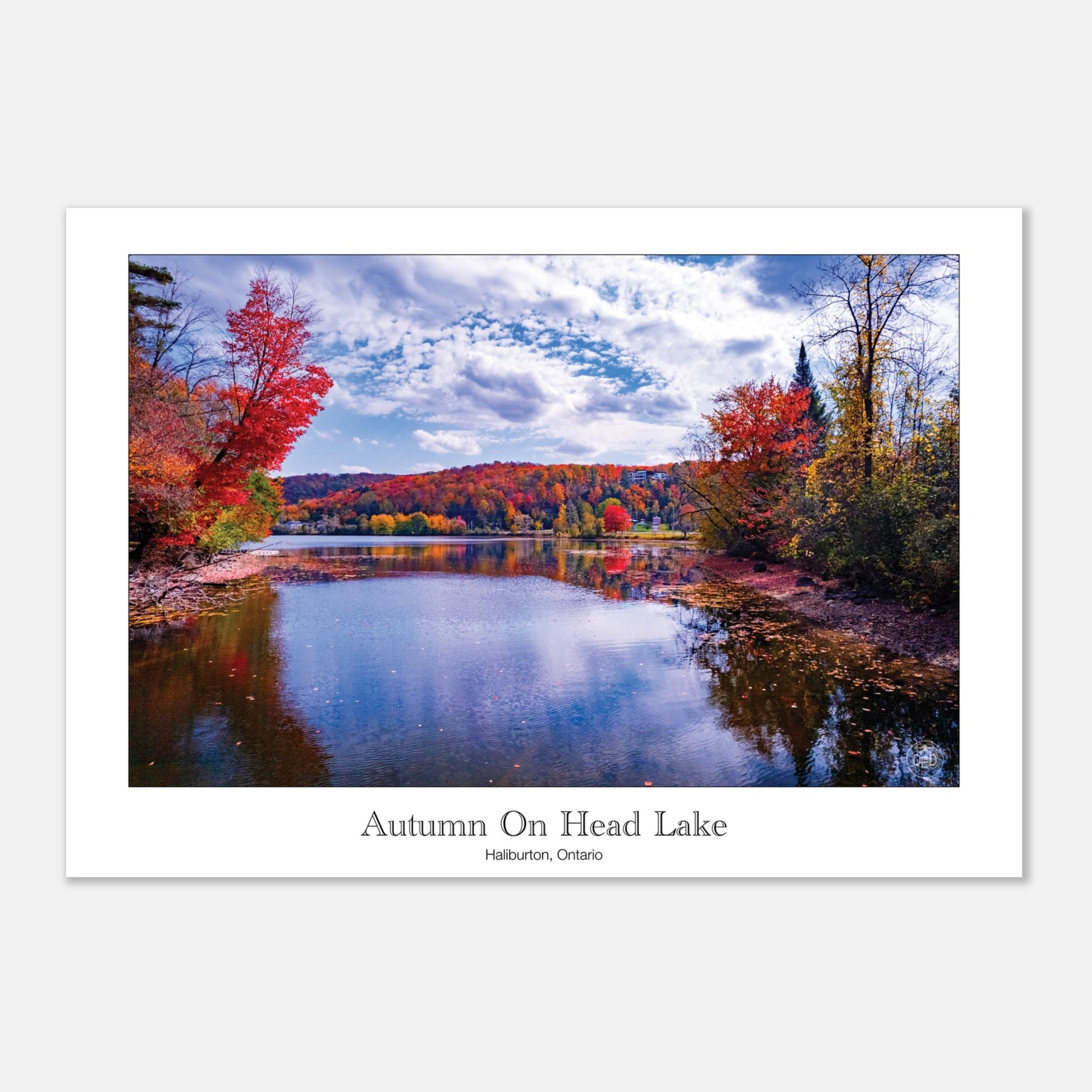 6e79eadf-ab47-4b66-b34f-08d66631fc08