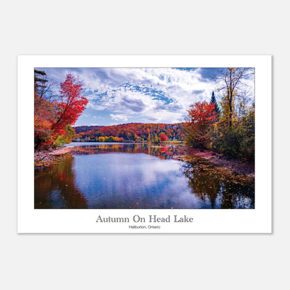 6e79eadf-ab47-4b66-b34f-08d66631fc08