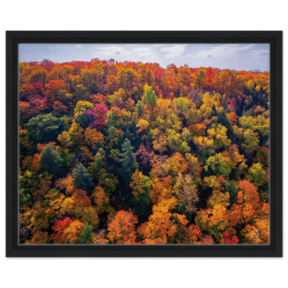 735e8d45-72cf-4d82-9620-d090ada7f89e