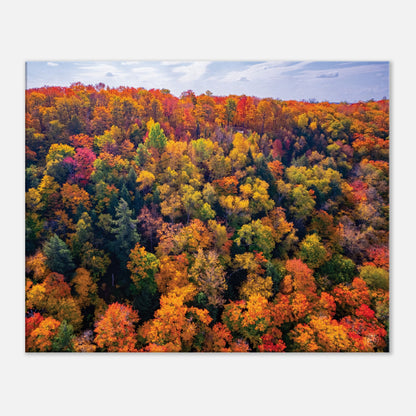 7b2c01eb-7dd0-46ae-8214-0af6c4415b28