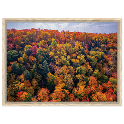 8260e113-5a9f-4303-b3f5-b81730dbfa99