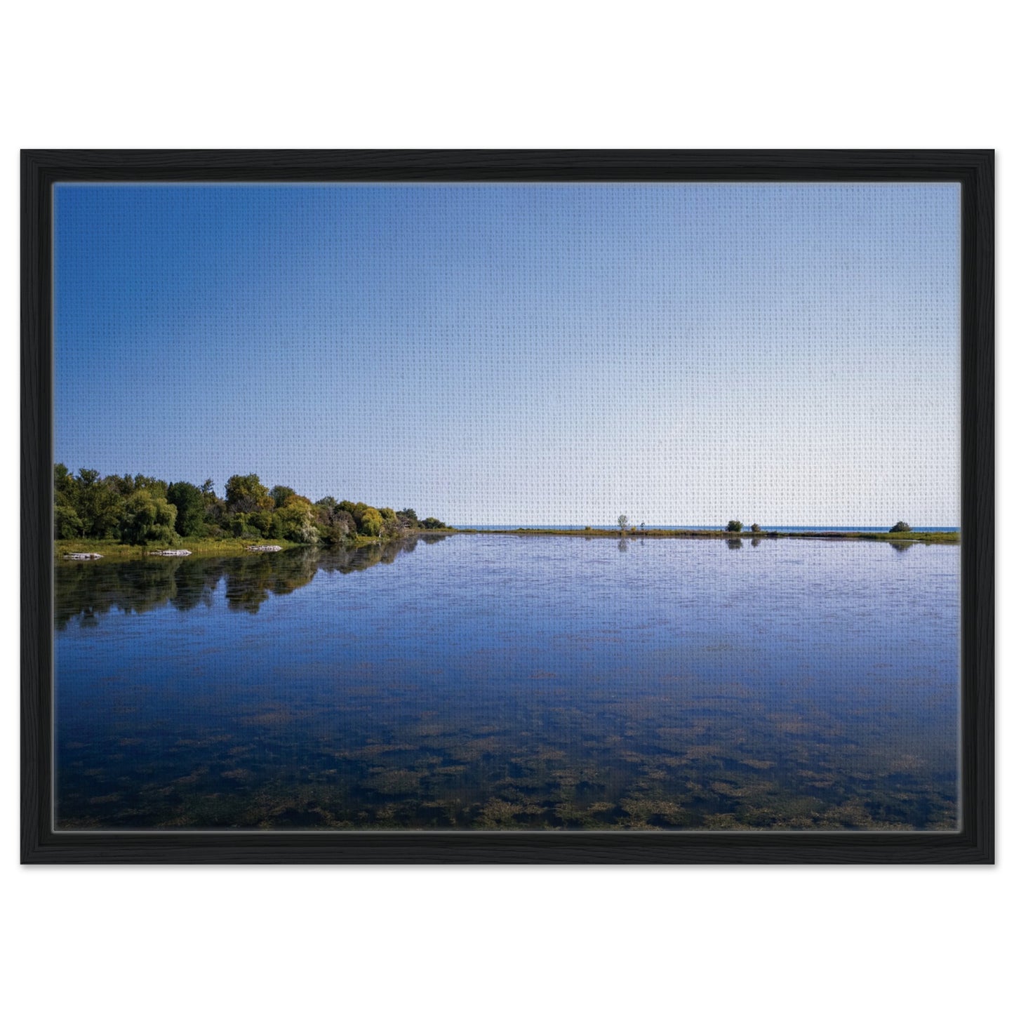 8321aa67-829b-4b6b-a284-0c016f34e4df