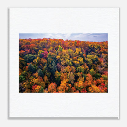 85d0cfe6-0b8e-4401-ba47-61143fceabae