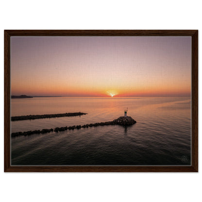 8f5229cb-9672-4135-99c6-65c37639fd46