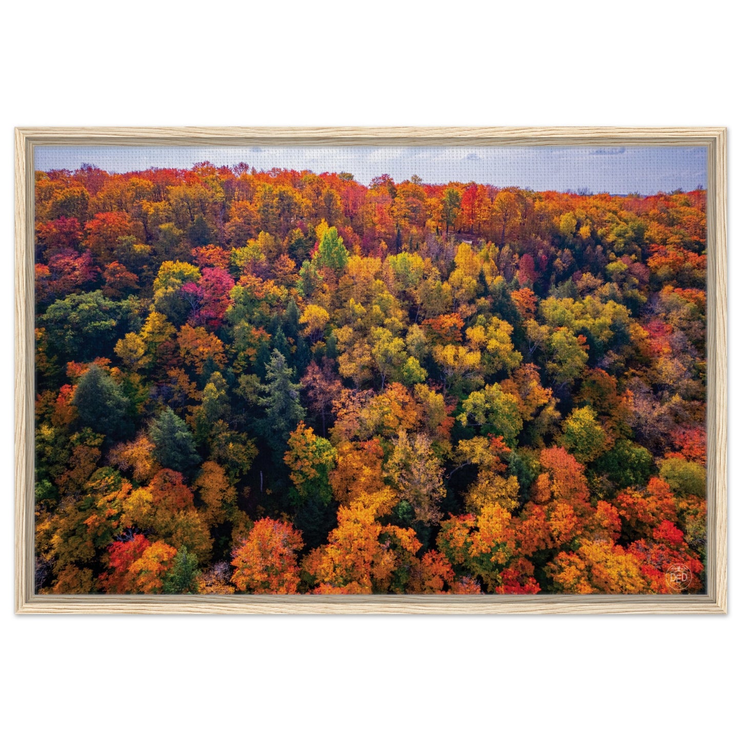 963be734-7c81-4db1-a6d4-65b0c36ed138