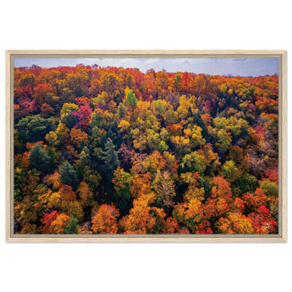 963be734-7c81-4db1-a6d4-65b0c36ed138