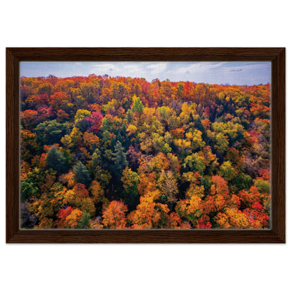 9b773d1e-5bba-41eb-a0d3-33d56fef8fc2