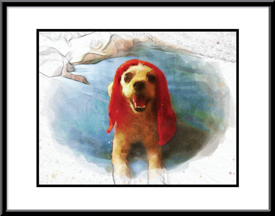 Framed Watercolour Print