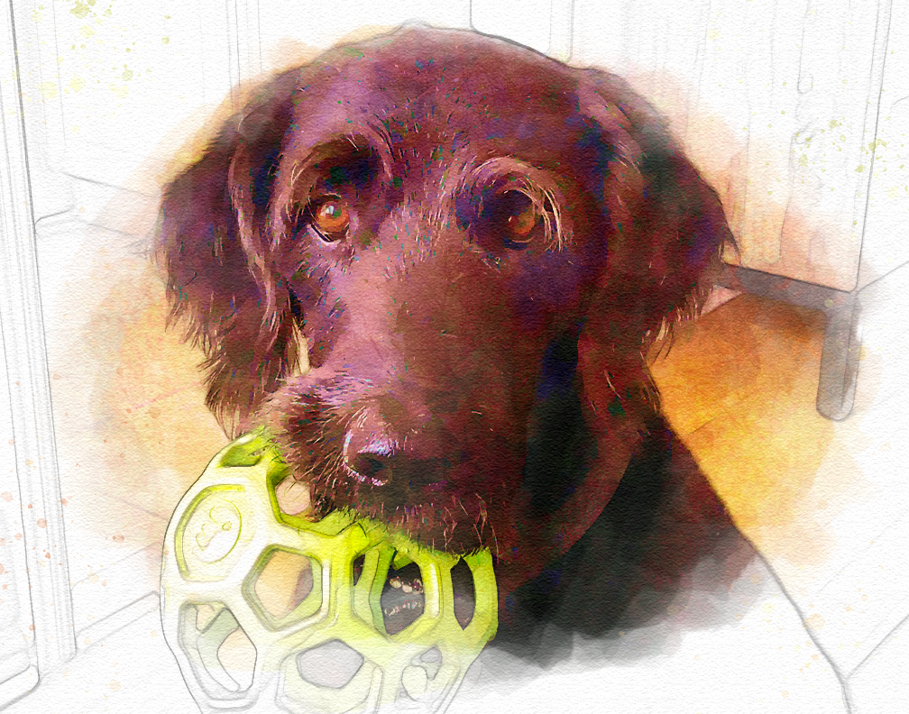 Digital Watercolour File