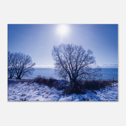 a22db423-9bdb-4e98-aeee-23ad02617840