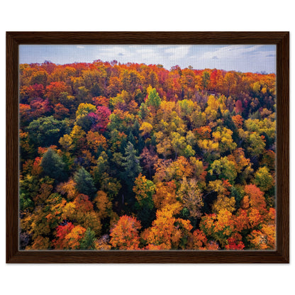 abc42c55-a4bf-413d-b6ce-b54755e41a61