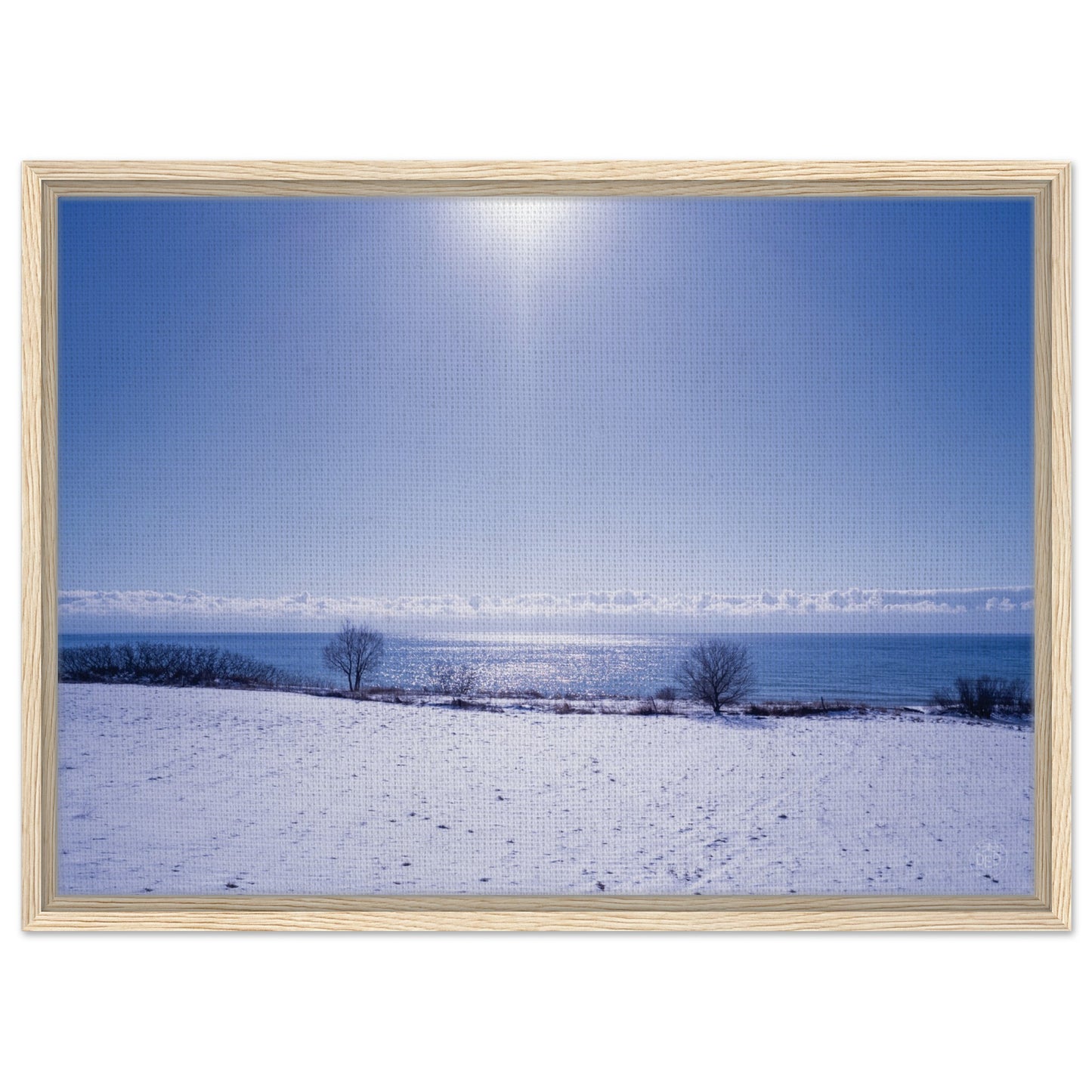 b141631d-891d-4605-8b65-b9e5fe09ff52