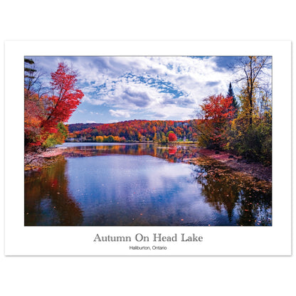 b430abc8-5506-4847-af97-71a7d5b1cfa6