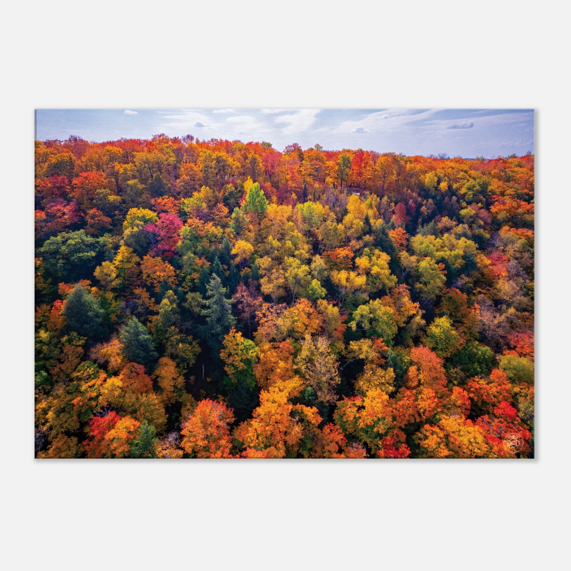 c2e006b4-eff8-4492-8d7f-16a67d72a101