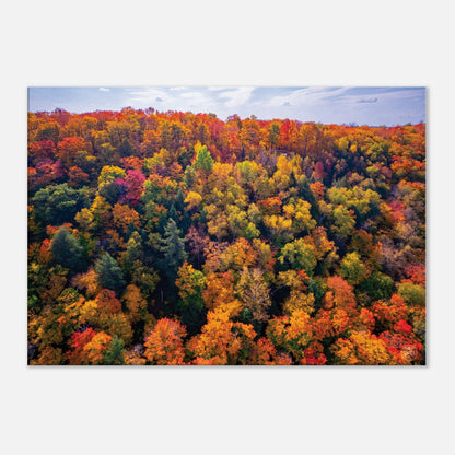 c2e006b4-eff8-4492-8d7f-16a67d72a101