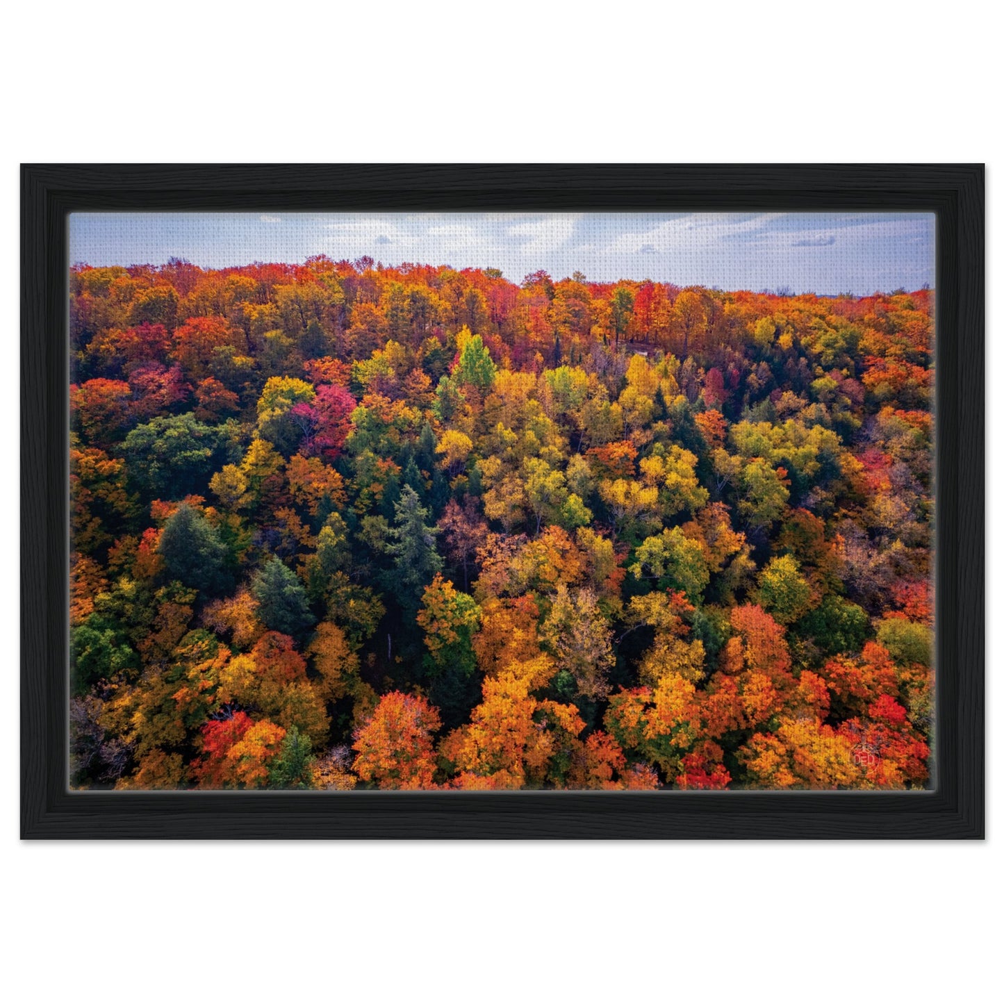 c302562d-b2ed-4edb-a852-ab0c35c43620