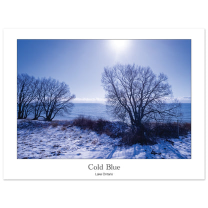 cfc5e2bf-f032-4964-9a7e-5d77b040046d