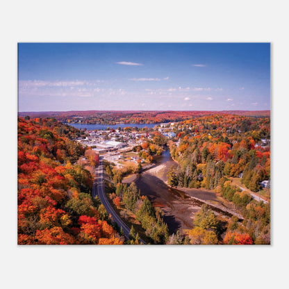 d6a99f76-a5ef-4922-bfea-6250fc23d88c