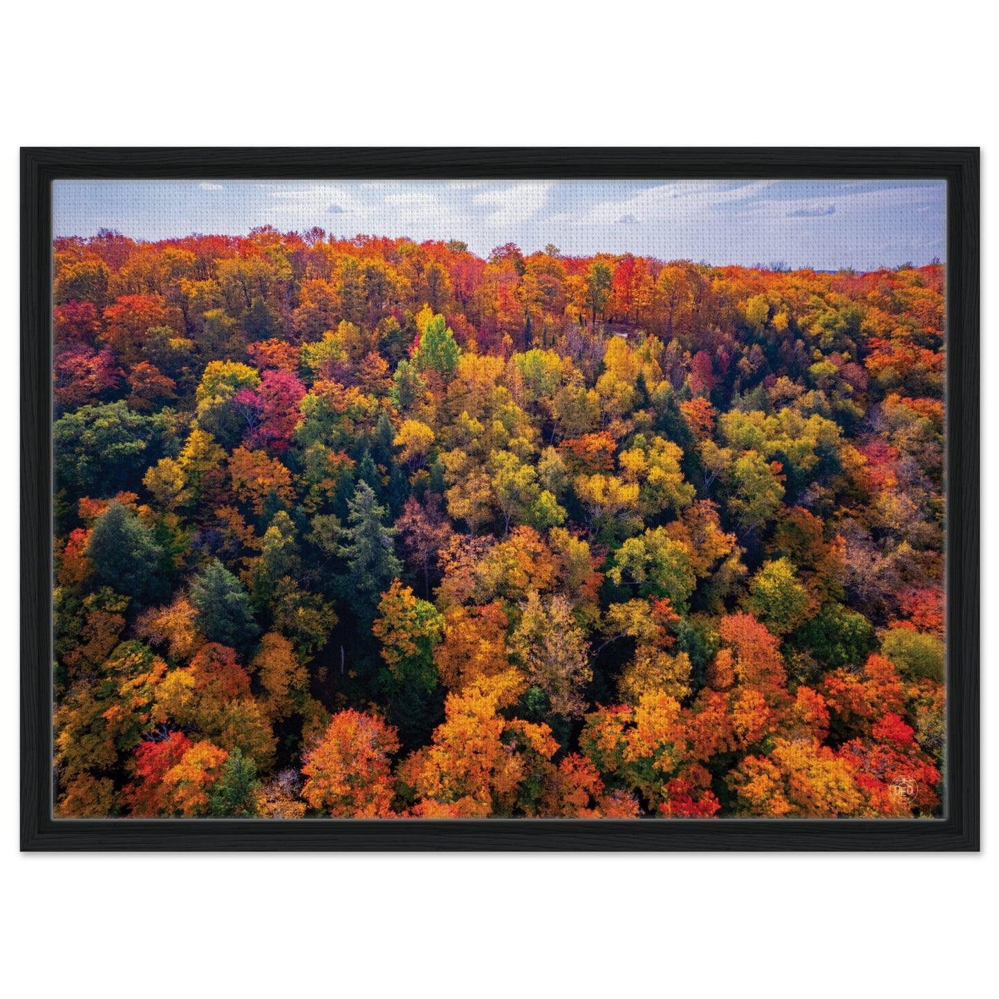 ec80fcf9-e5c1-437a-b747-4a75f76cba9c