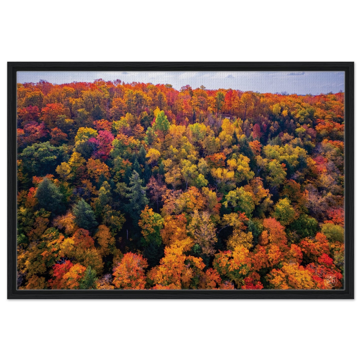 ee676758-b8fa-4e8f-bc6e-47ba09e3b26f