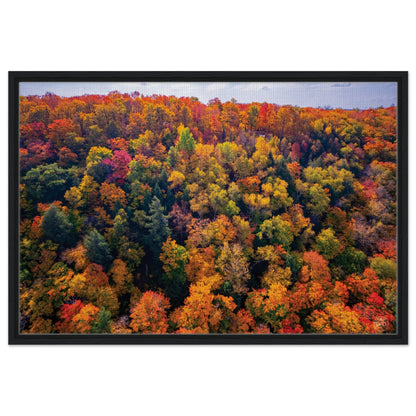 ee676758-b8fa-4e8f-bc6e-47ba09e3b26f