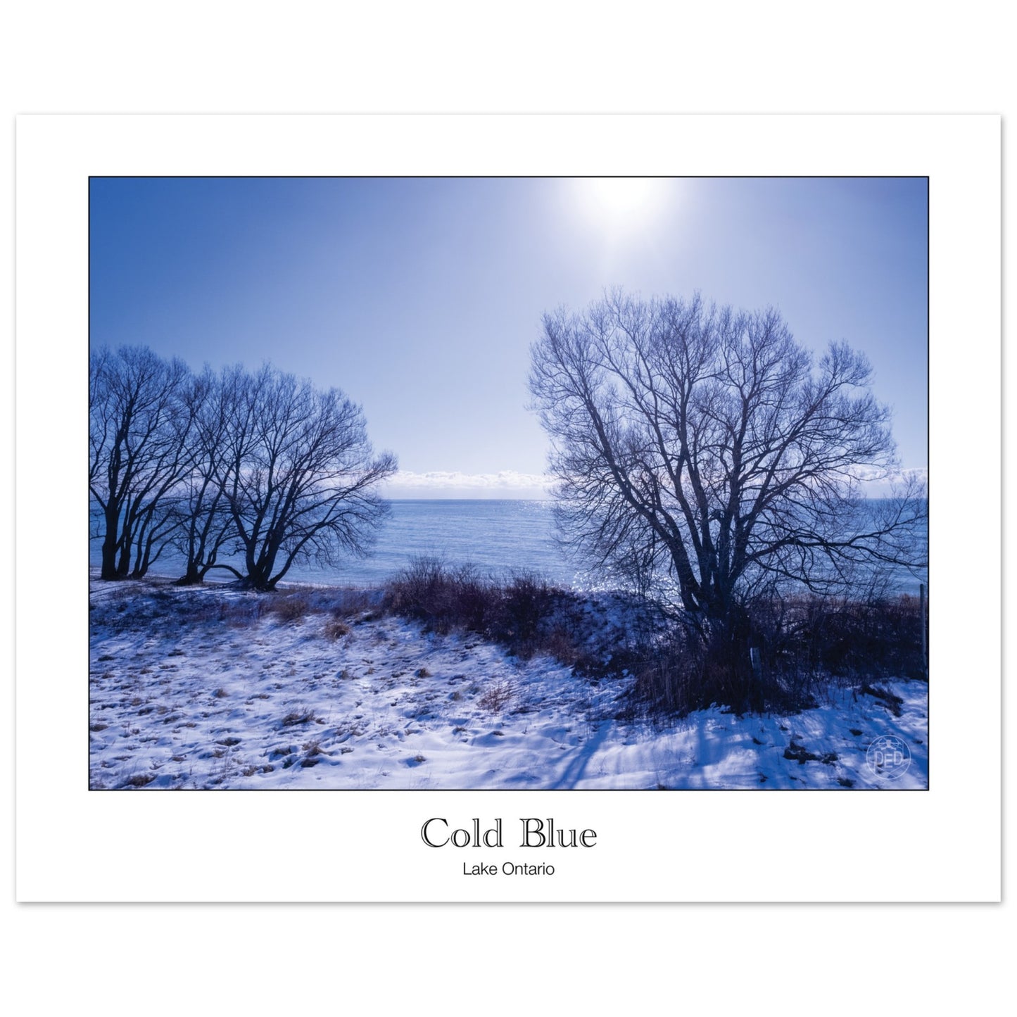 f115ef19-cf77-41db-806d-c0c485dbb58f