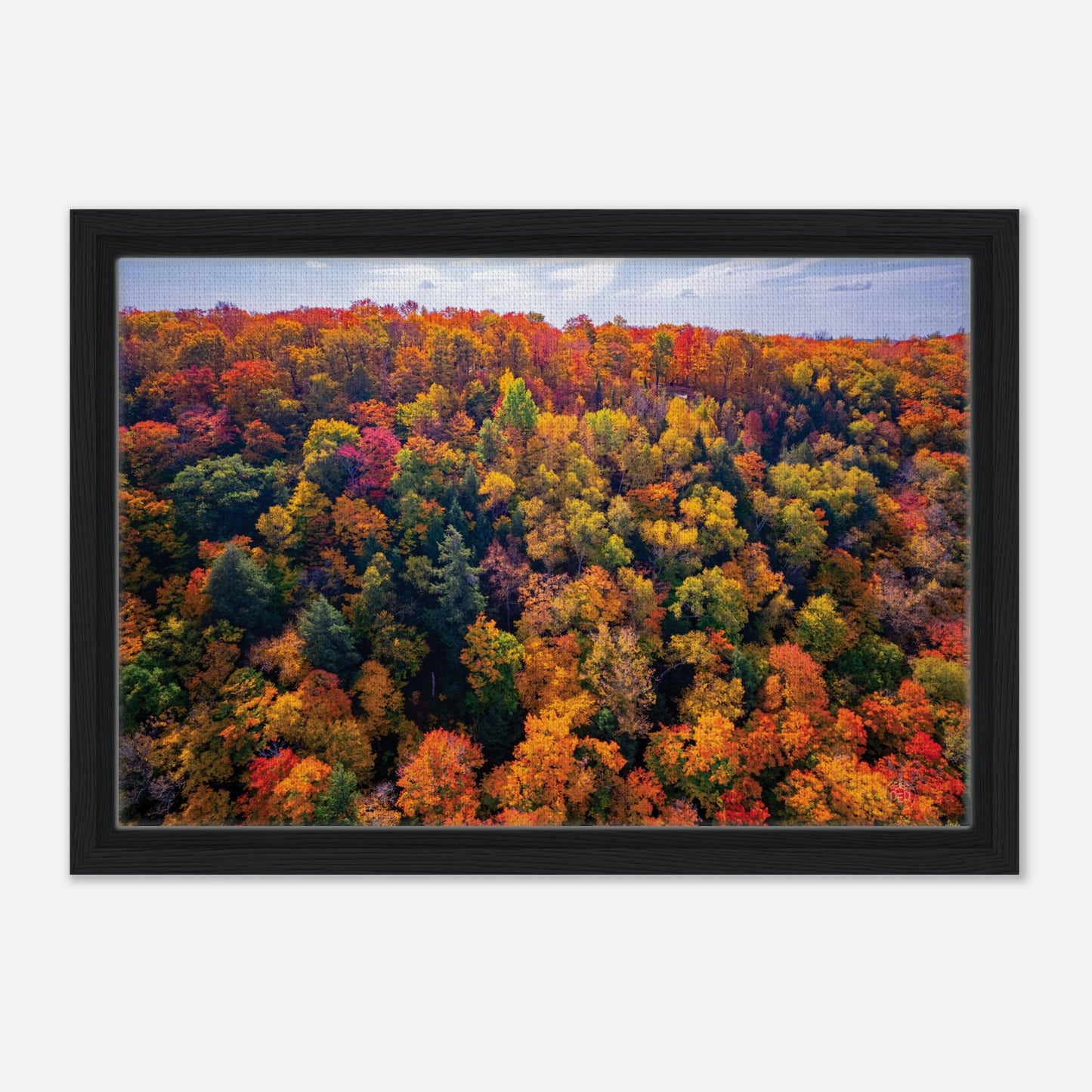 f31dc2cf-dcc6-4813-9729-88502ec1748a