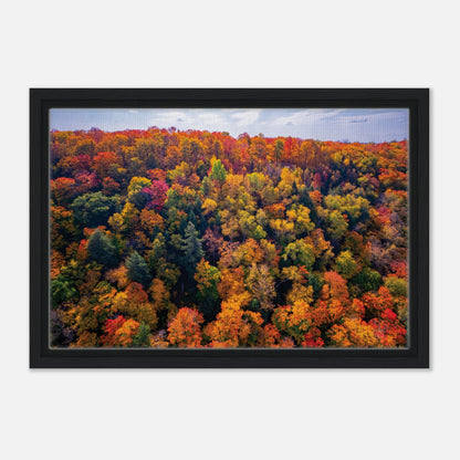 f31dc2cf-dcc6-4813-9729-88502ec1748a