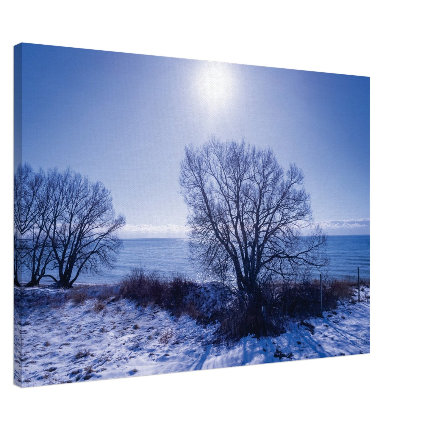 f8f38612-c23c-4efc-9a65-333f129a1c76