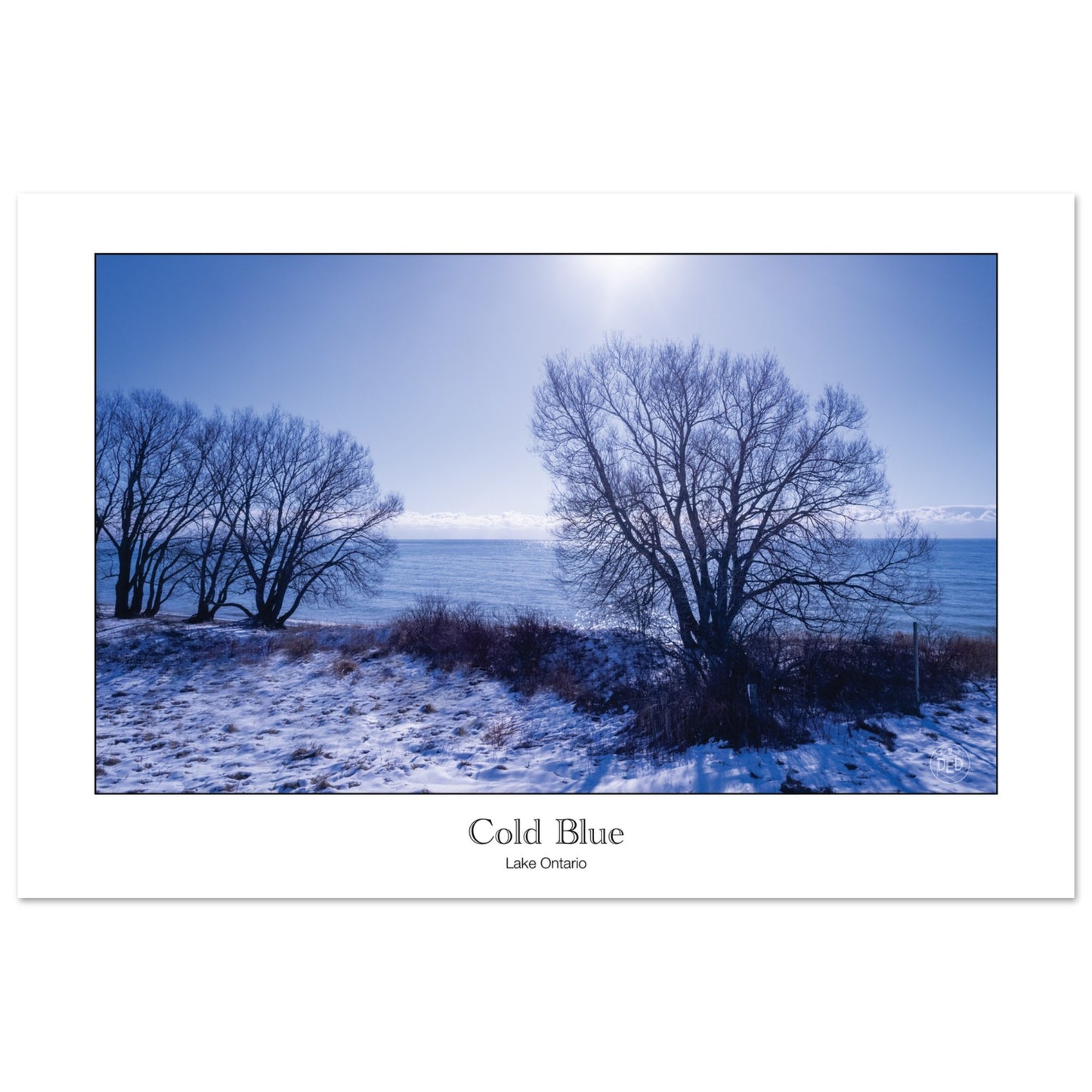 fdcf9d50-5b33-4fdb-8772-0047bd9f9167