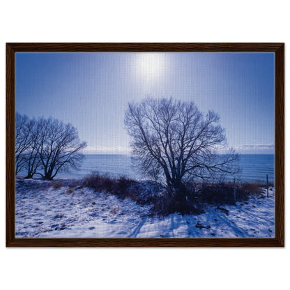 fdf43b78-fd6f-482c-ac89-b3cece1dcbf1